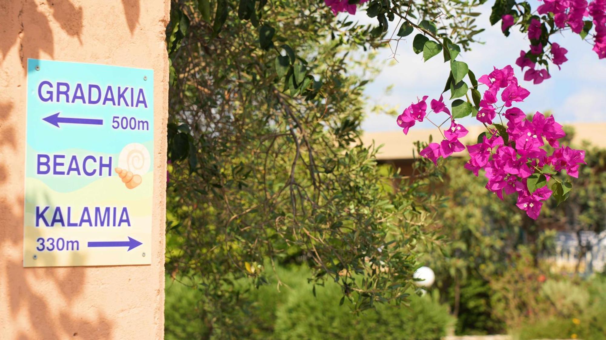 Galini Studios And Apartments Lassi  Exterior foto